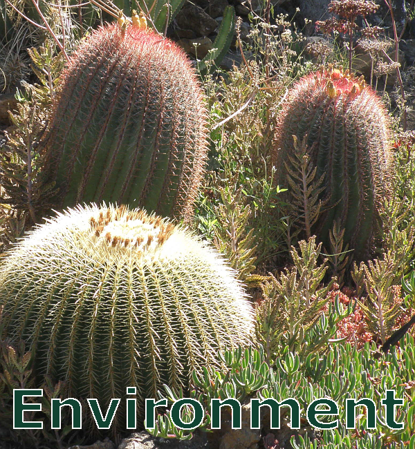 Environment 3 P6140657